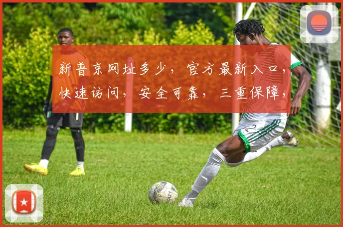 新普京网址多少，官方最新入口，快速访问，安全可靠，三重保障，请牢记