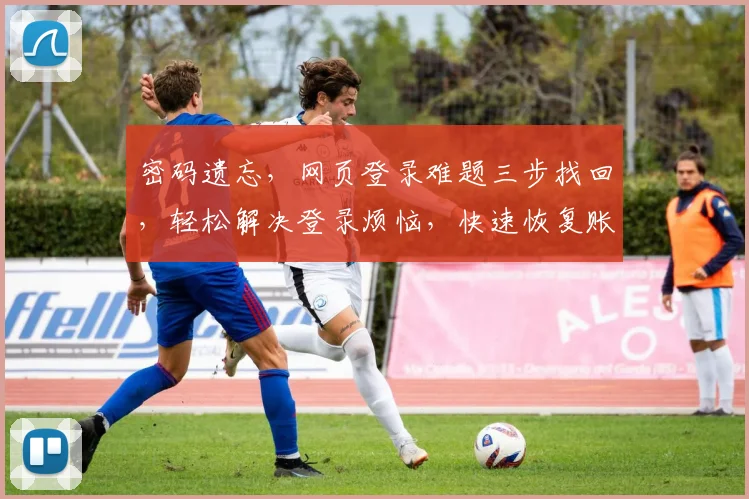 密码遗忘，网页登录难题三步找回，轻松解决登录烦恼，快速恢复账户安全