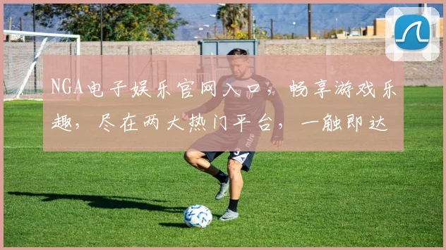 NGA电子娱乐官网入口，畅享游戏乐趣，尽在两大热门平台，一触即达