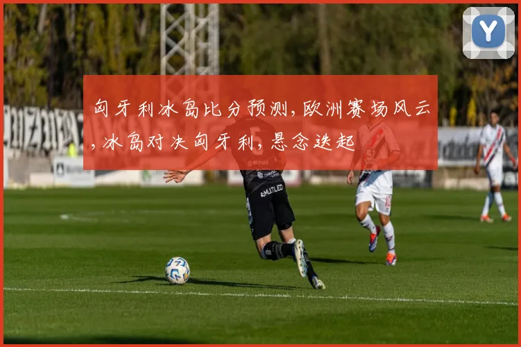 匈牙利冰岛比分预测,欧洲赛场风云,冰岛对决匈牙利,悬念迭起