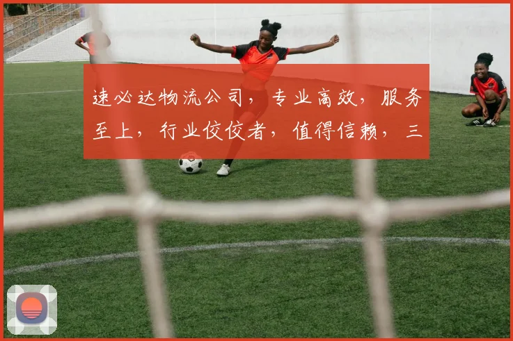 速必达物流公司，专业高效，服务至上，行业佼佼者，值得信赖，三网合一。