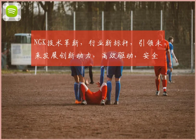 NGK技术革新，行业新标杆，引领未来发展创新动力，高效驱动，安全可靠，三大亮点